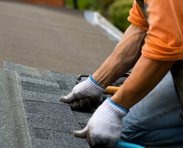 Best Gutter Installation and Roofing  in Ripley, TN